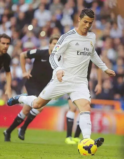 生涯和未来 生涯和未来