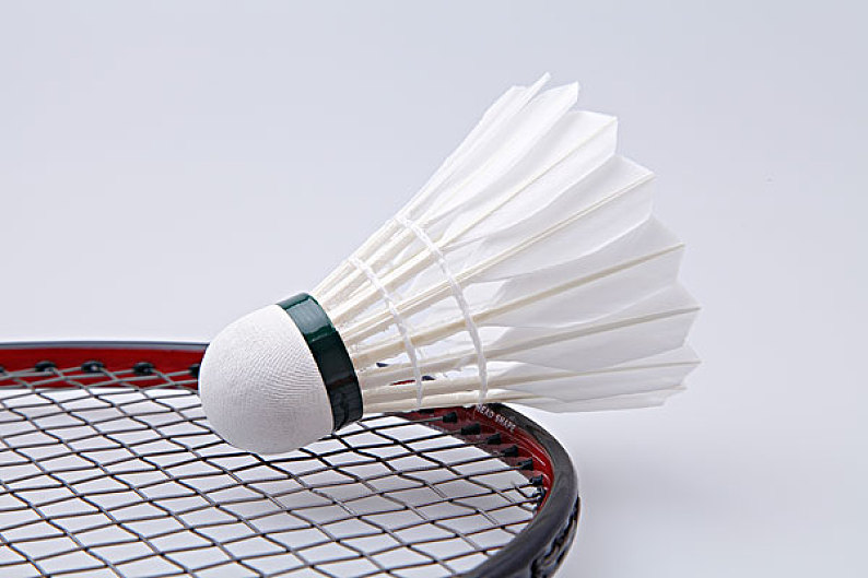 这让小伍兹 这让小伍兹